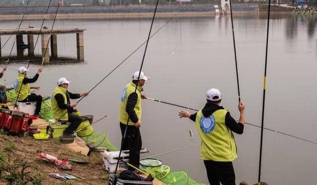 鱼情|户外作钓,几种常见的误区会让新手朋友栽跟头,希望没有说到你