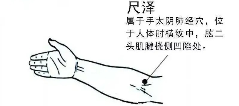 肺经|想要秋天少生病,一定要拍打此处,大病小病它都管