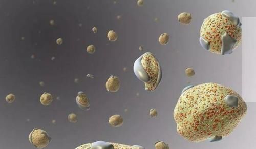 医生|动脉粥样硬化有何危害？是否真的能够被逆转？听听医生怎么说