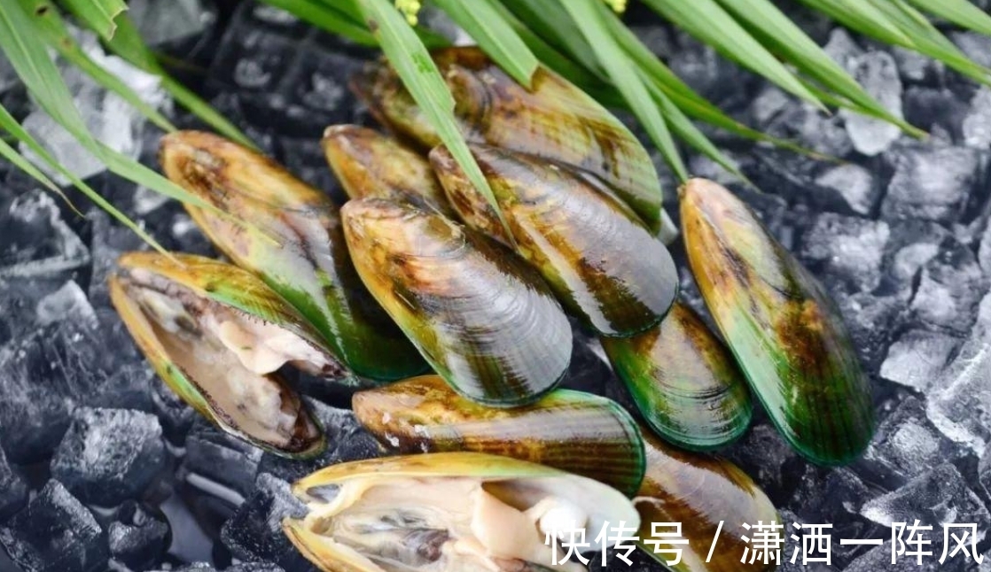 剧毒|比眼镜蛇毒强80倍的剧毒,为何出现在吃了几十年的海鲜里?