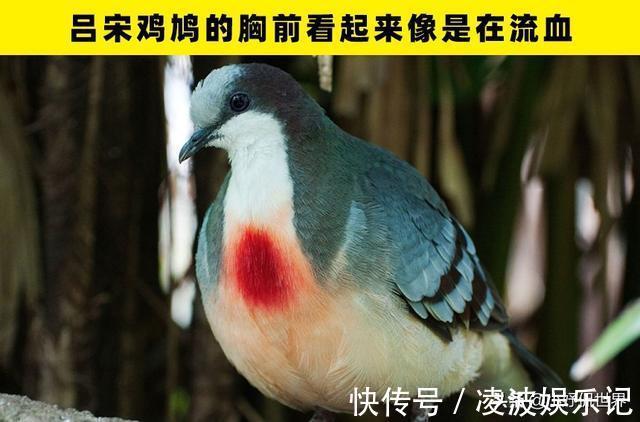 彩虹|冷知识普及:在这个世界上,所存在着的7个惊奇事实