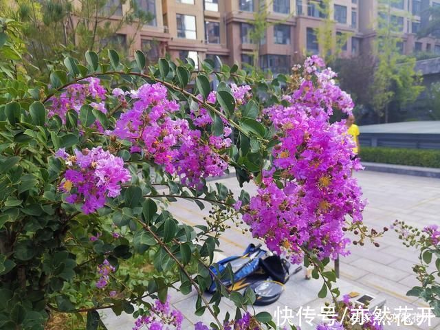 好的故事&故事写作:精彩故事的五个标准