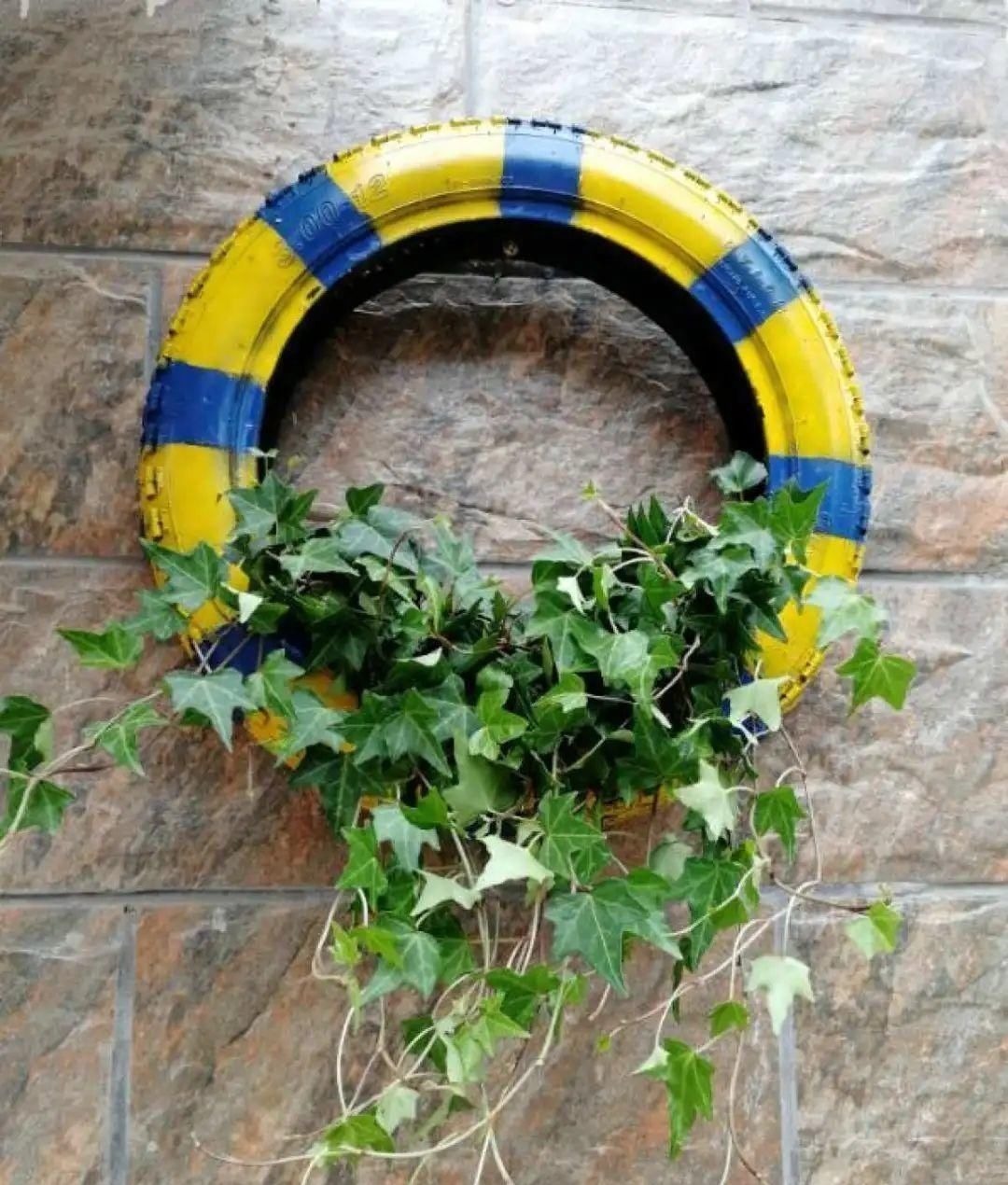 塑料瓶|旧筷子、老干妈瓶别扔,拿来养花效果好,省下一笔养花钱