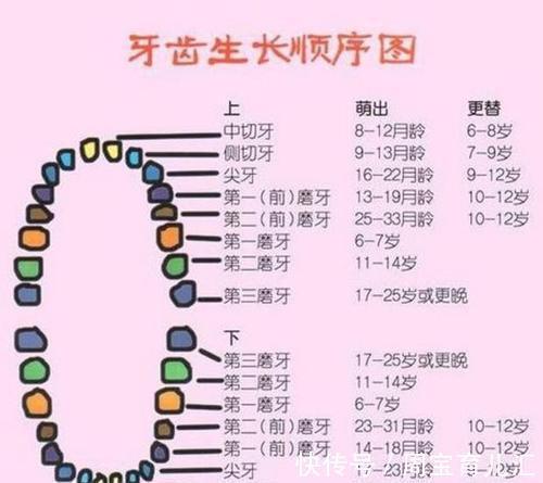 牙齿|长牙期没有这样做,毁掉宝宝一口好牙,宝妈们要注意哦