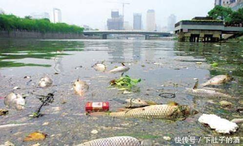 孕期|孕期“前三月”,这几件事是胎宝最怕的,小心远离才是真的对娃好