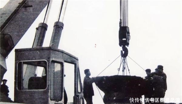 “铁狮子”重达32吨,屹立千年不倒,却为何倒在专家的保护上