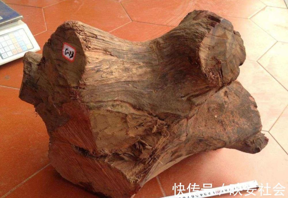 花梨木|缅甸花梨(大果紫檀),这匹“黑马”竟具备六大优点!