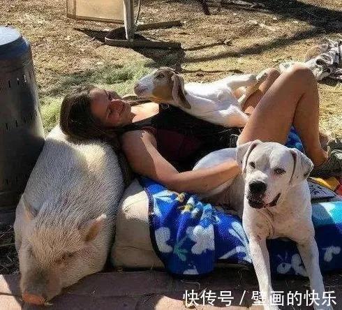 |搞笑GIF:一张膜十元钱,我都帮你免费贴了,你还想哪样?