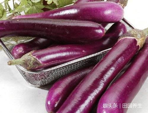 人士|医生建议,每天吃一盘,防癌抗衰老,养生人士都在吃!