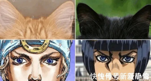 布加拉提|把动漫人物换成“猫猫头”,人物顿时显得可爱了,但布姐yyds