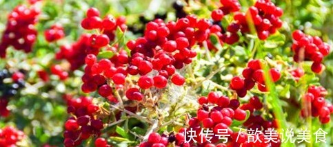 养生|女性养生,坚持常吃的食物,补水润肤,排出毒素,缓解女性痛经