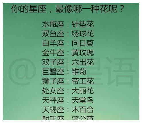 12星座|面对感情冲突，12星座应该如何选择？你的星座，最像哪一种花呢？