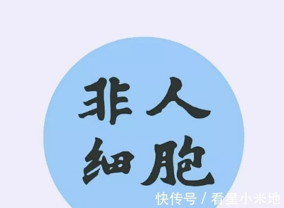 藕霸|非人哉：朱雀扛柴刀，看上去毫无违和感！