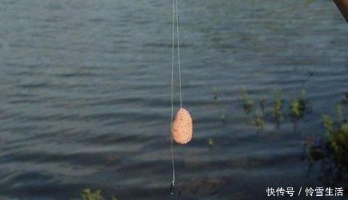 截口|钓不同的鱼,用不同的浮漂,浮漂如何选用?看看老钓友怎么说