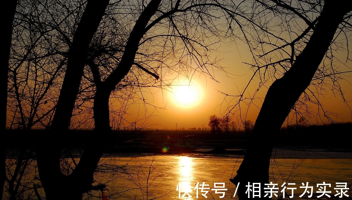 暖阳#你是天上云,我是雾中人