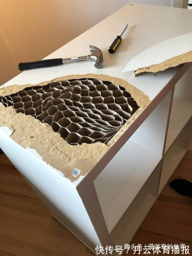 鹦鹉螺&这些东西内部长啥样?25张照片揭示日常事物看不见的一面!