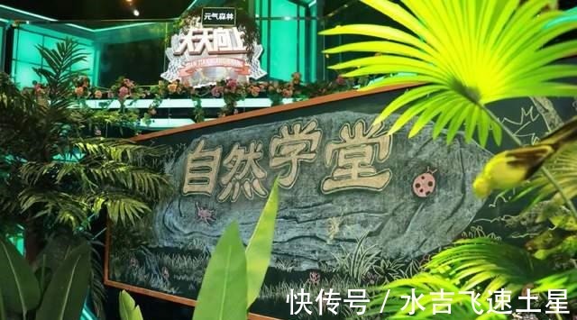 失去王一博的《天天向上》,續(xù)命之路終止,你如何看到去明星化