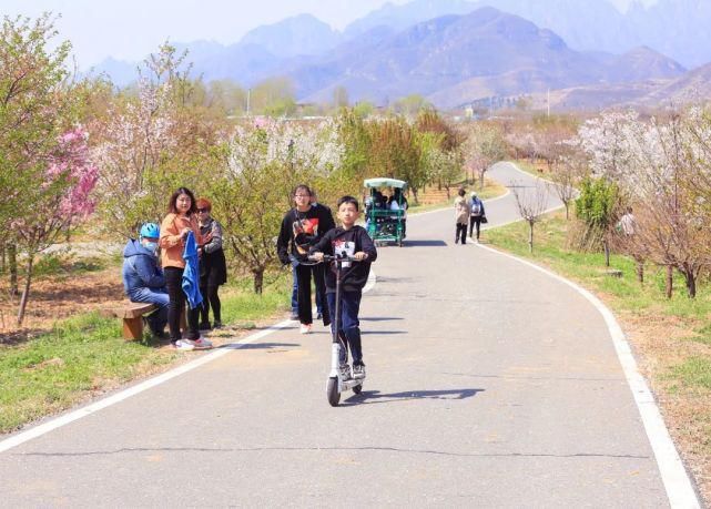 实拍，实拍，4月3日狼牙山万亩花海实拍来啦！