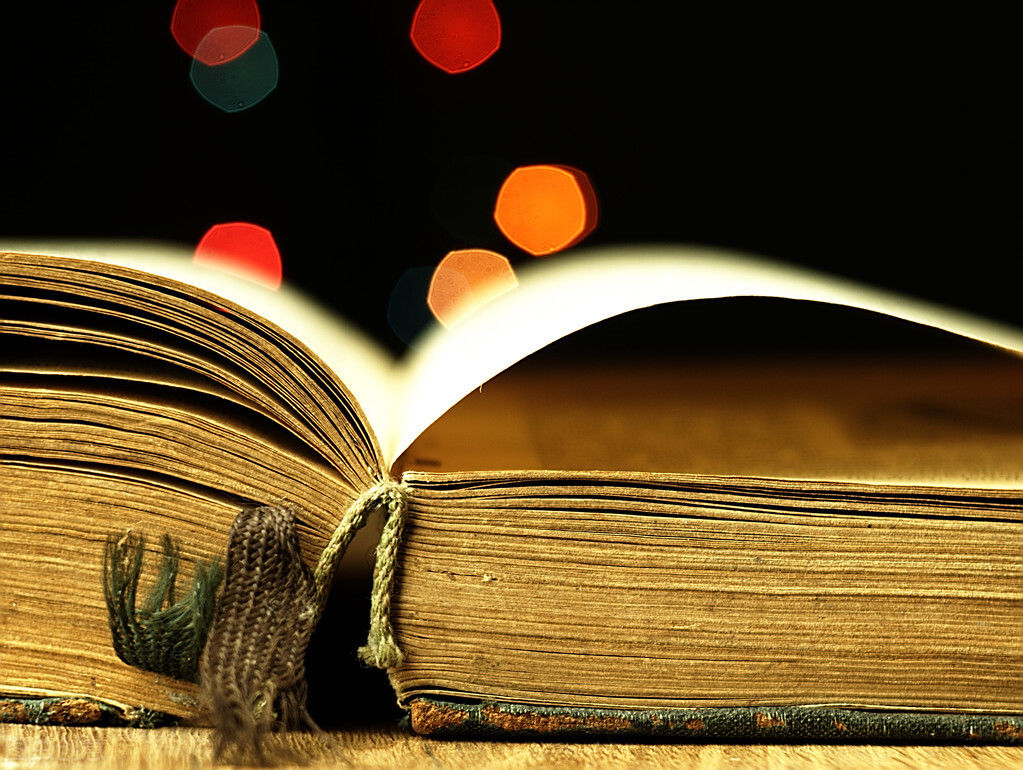 庄公|最高级的智慧：敬畏