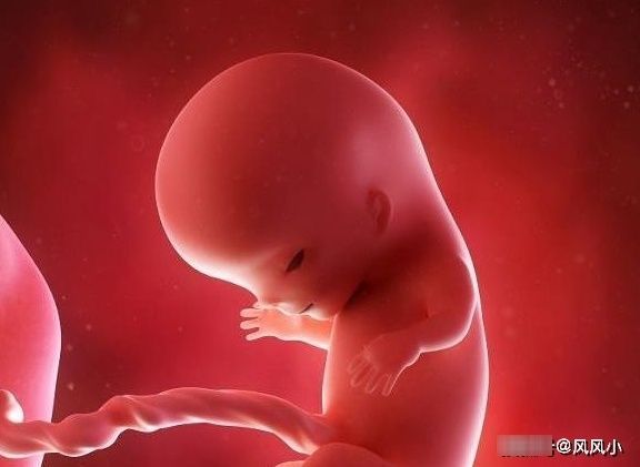 怀孕|为什么现在“胎停”的人越来越多?多数和这4点有关,早知早好