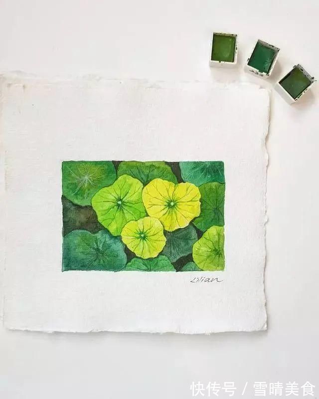 色彩|我画水彩为什么又脏又灰？掌握这几点，画的干净又清爽！