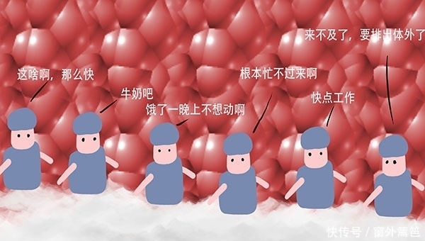 纯牛奶好，还是酸牛奶好？高血压人群适合哪种，让研究告诉你