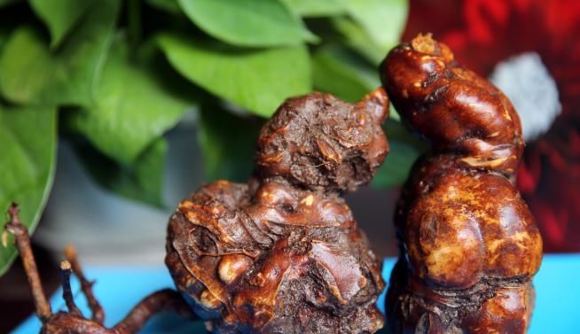 人参|男人不想老太快,多吃天然“雄激素”,唤醒“肾动力”