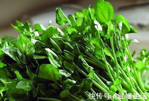 排毒|想长寿先养生,三种食物换着吃,养肝护肝,清热排毒,早吃早受益