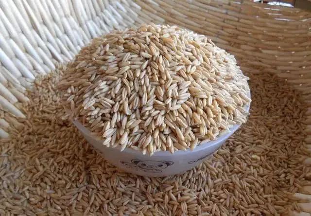 燕麦|降血糖，预防并发症，少饮二水，多补三物，勤动四处！