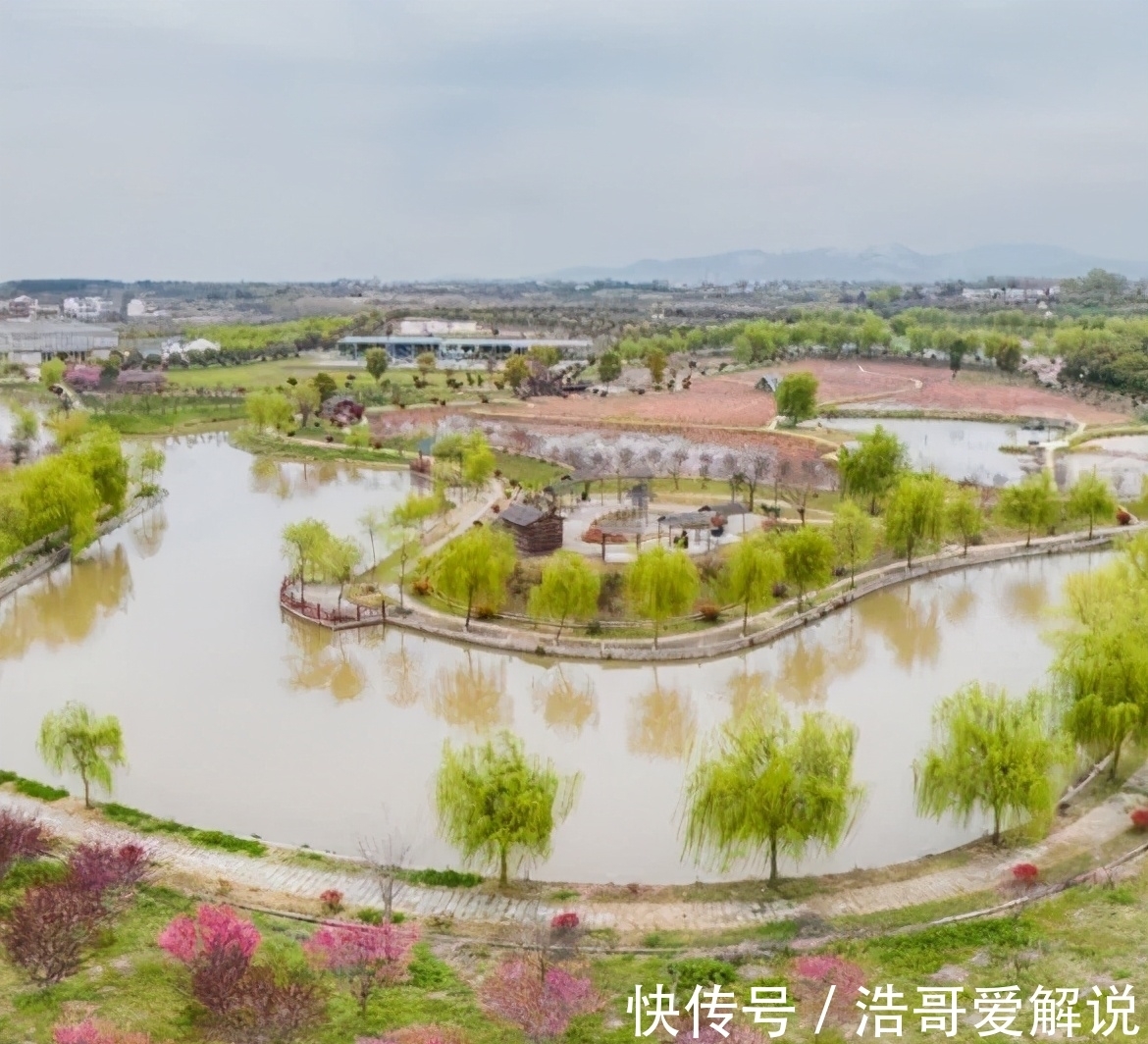 花朝河湾|新洲好玩的景点不少，为什么没多少人去新洲玩？