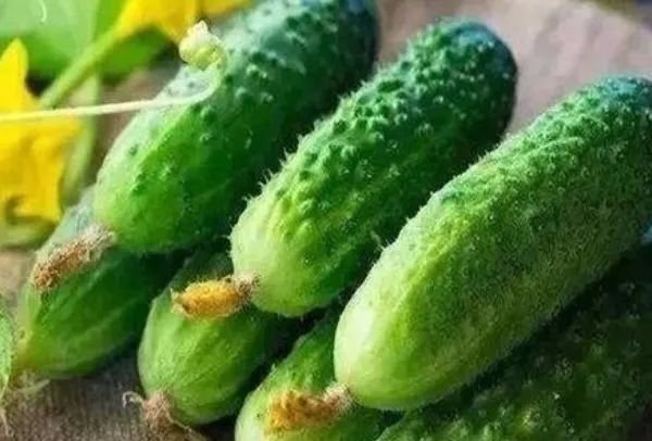 腌黄瓜|告诫大家一根黄瓜,一家四口全住院吃黄瓜的4个禁忌要牢记,别再忽视了