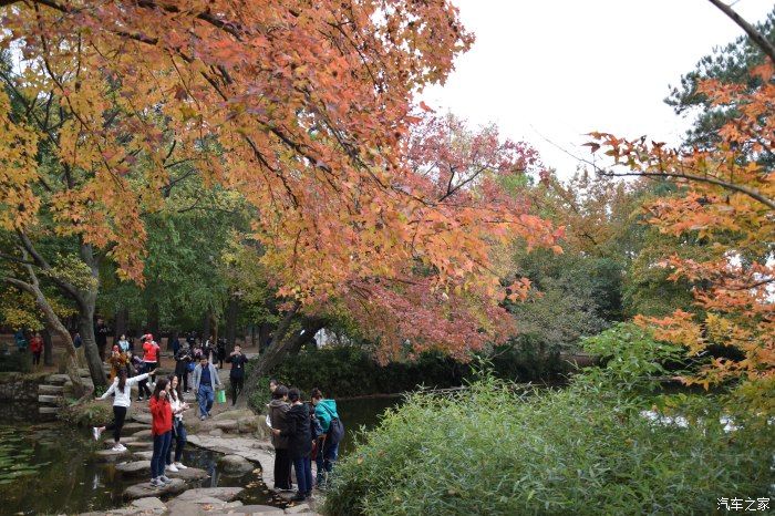 天平山|【喜迎国庆】停车坐爱枫林晚，霜叶红于二月花。游天平山赏枫叶