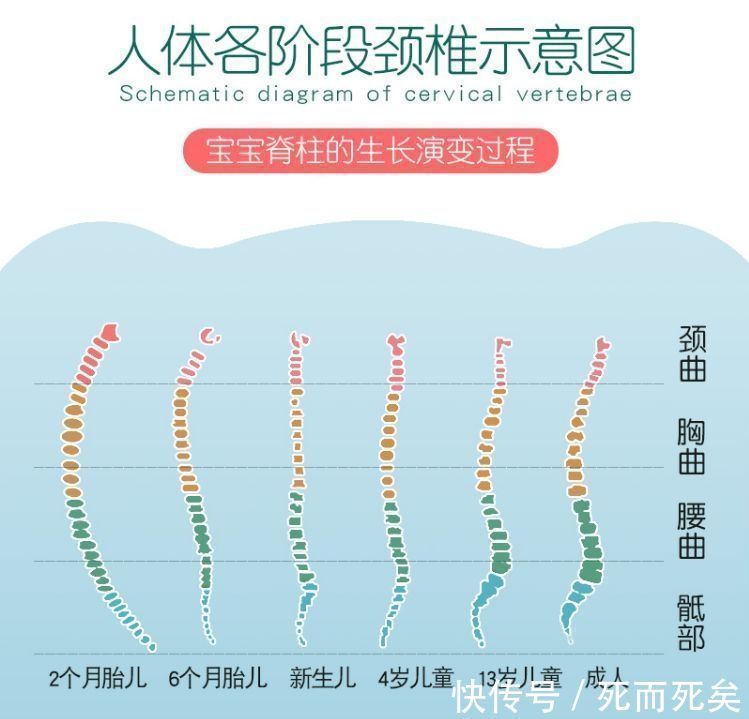 学步车|家长的3种行为，影响宝宝脊柱发育，长大可能“矮”人一截