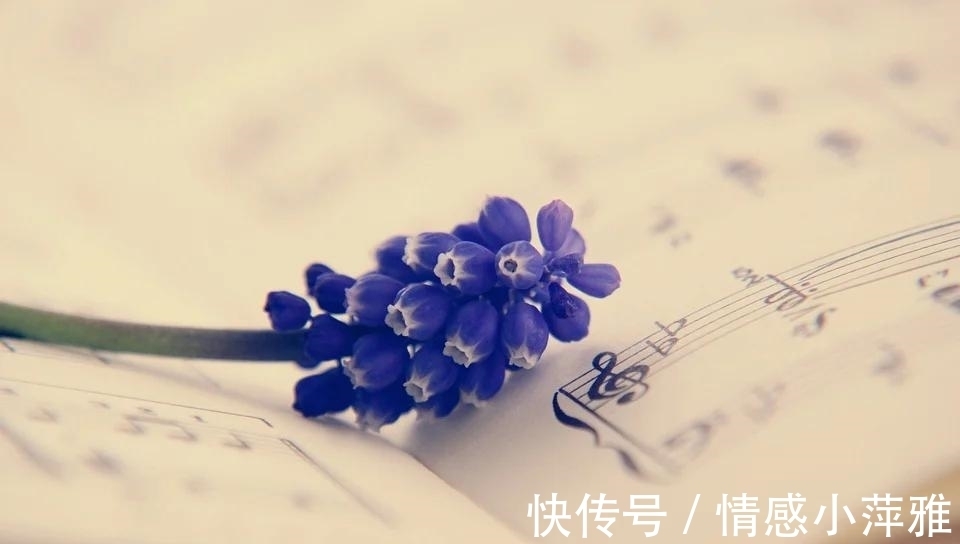 亲情|“父母过世后,亲弟把我拉黑了”,别太高估那些,用钱买来的亲情