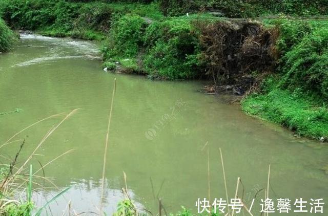 西南风|天刮西南风气死老钓翁野钓风向对鱼获影响知多少