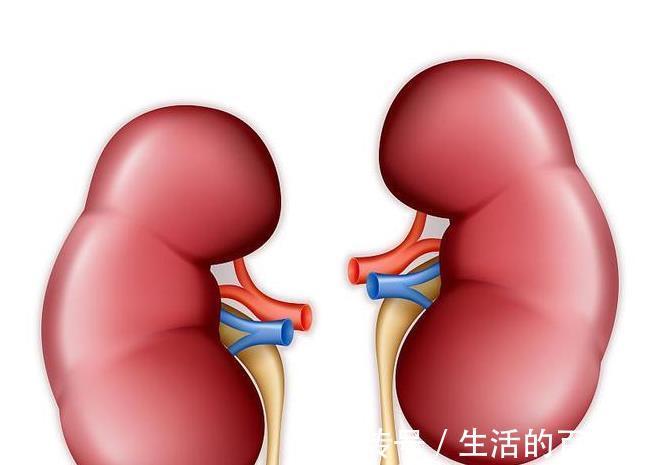 信号|肾衰竭早期，身体会有信号吗？别漠不关心了