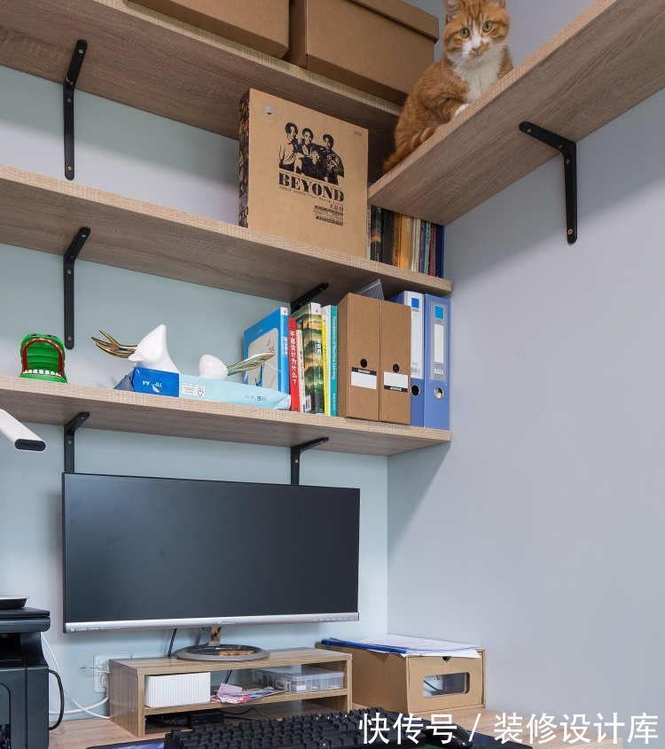 实用|猫奴的新家，合理控制预算，打造一个美观和实用并存的新家