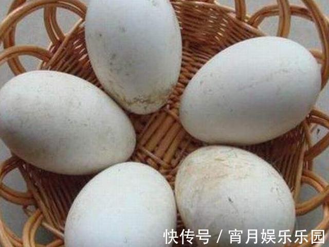 怀孕|“一白遮百丑”,孕妇在怀孕期间多吃4物,或排出胎毒,远离黄疸