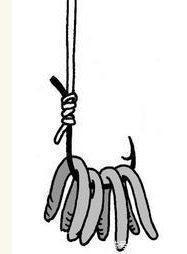 蚯蚓钓鱼效果好,但你挂对了吗,不同挂法效果不同