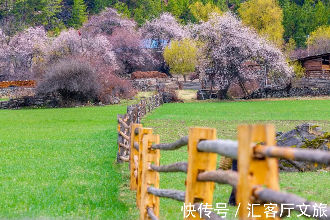 雪山|春天，让人憧憬的旅行目的地，莫过于去林芝看桃花！