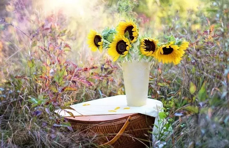 人生|最健康的生活方式