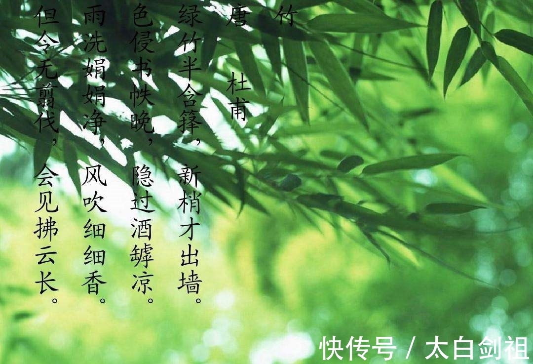 孟浩然!大诗人们的翠竹情怀,十二首著名的诗词,每一首都是经典