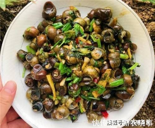 抗力|人称“盘中明珠”，在农村没人要，却是“钙中钙”，助发育提抗力