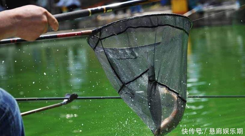 浮漂|新手调漂,如何准确调漂找底以及更好的调节浮漂灵敏度,看这里