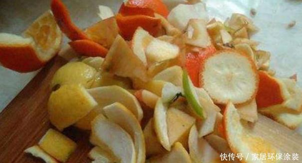 对于养花的人来说,家里这些“垃圾”扔掉就是浪费,养花好用的很