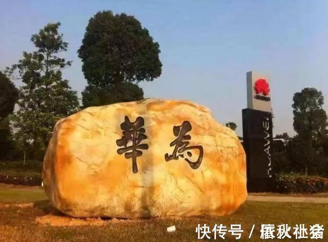 市场份额|5G通信市场大洗牌:中兴跻身前五,爱立信屈居第二,第一无可撼动