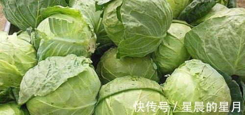 强身健体|卷心菜怎么做都不好吃加上它,想不好吃都难!