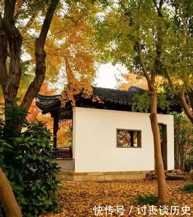 门前|门前种竹,子孙享福