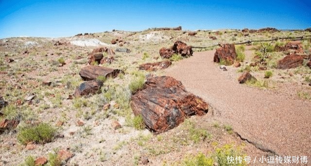 宝石|美国西部有一个“玛瑙森林”,遍地天然宝石,无人看管没人偷捡!