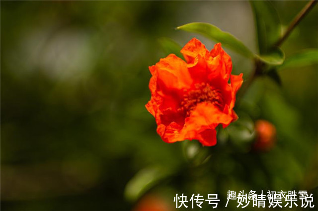 曹雪芹!红楼梦中的芒种节,到底送的是哪位花神,谜底在黛玉的葬花诗前